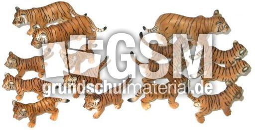 Tiger15-7.jpg